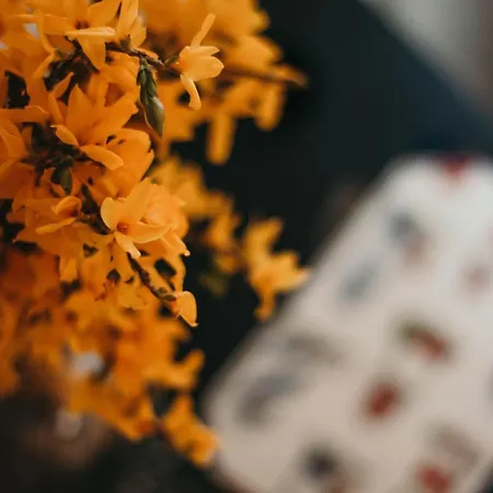 La Casa Sull'isola Pescatori * 스트레사