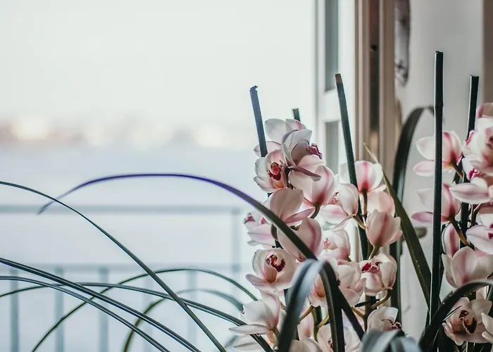 Daire La Casa Sull'isola Pescatori